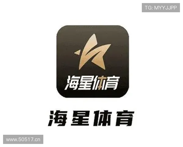 海星体育在线登录安全指南，保障个人信息安全与账号稳定使用体验